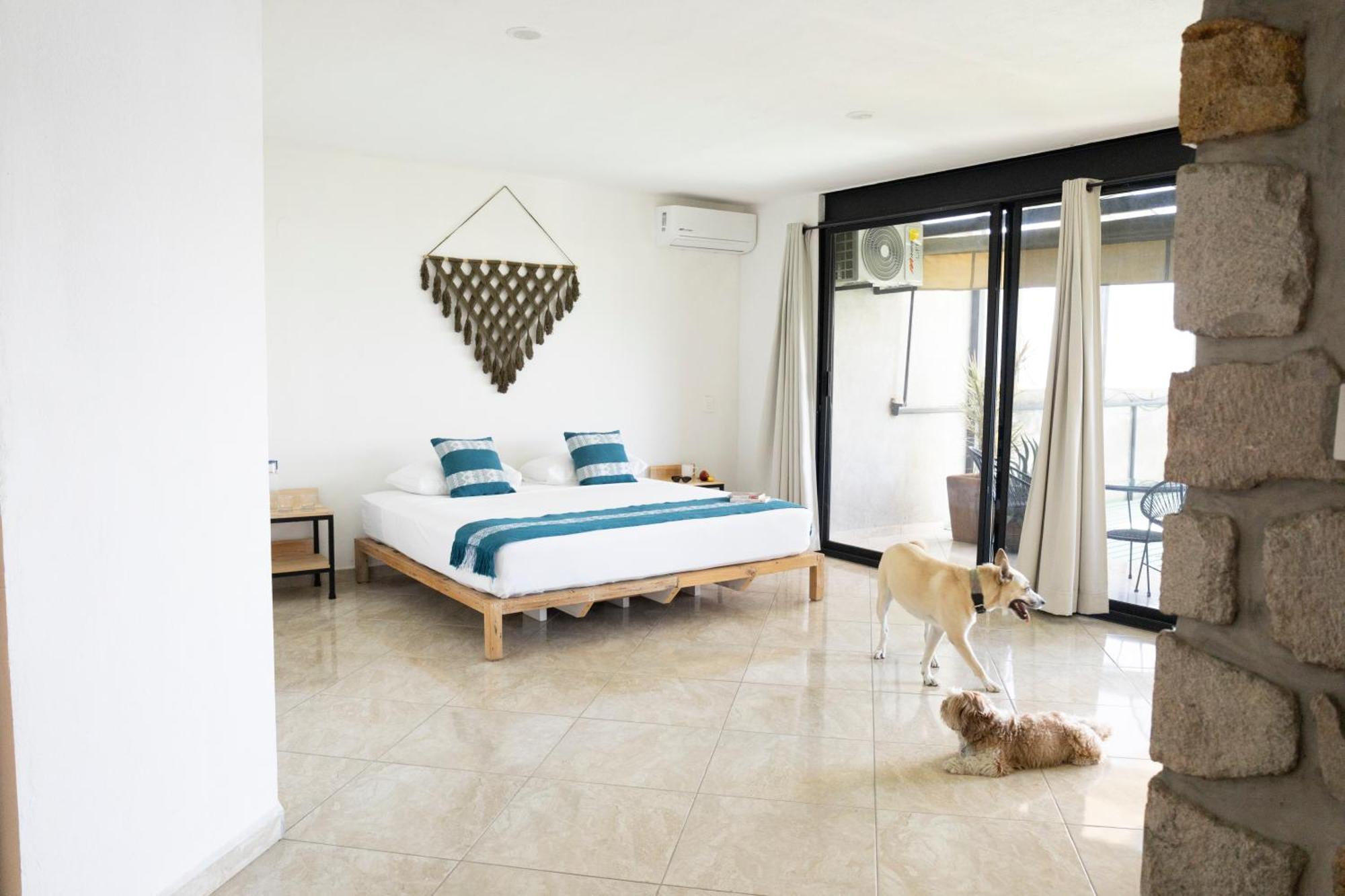 Yauik Apartment เตคิวสควิซเทนโก ภายนอก รูปภาพ